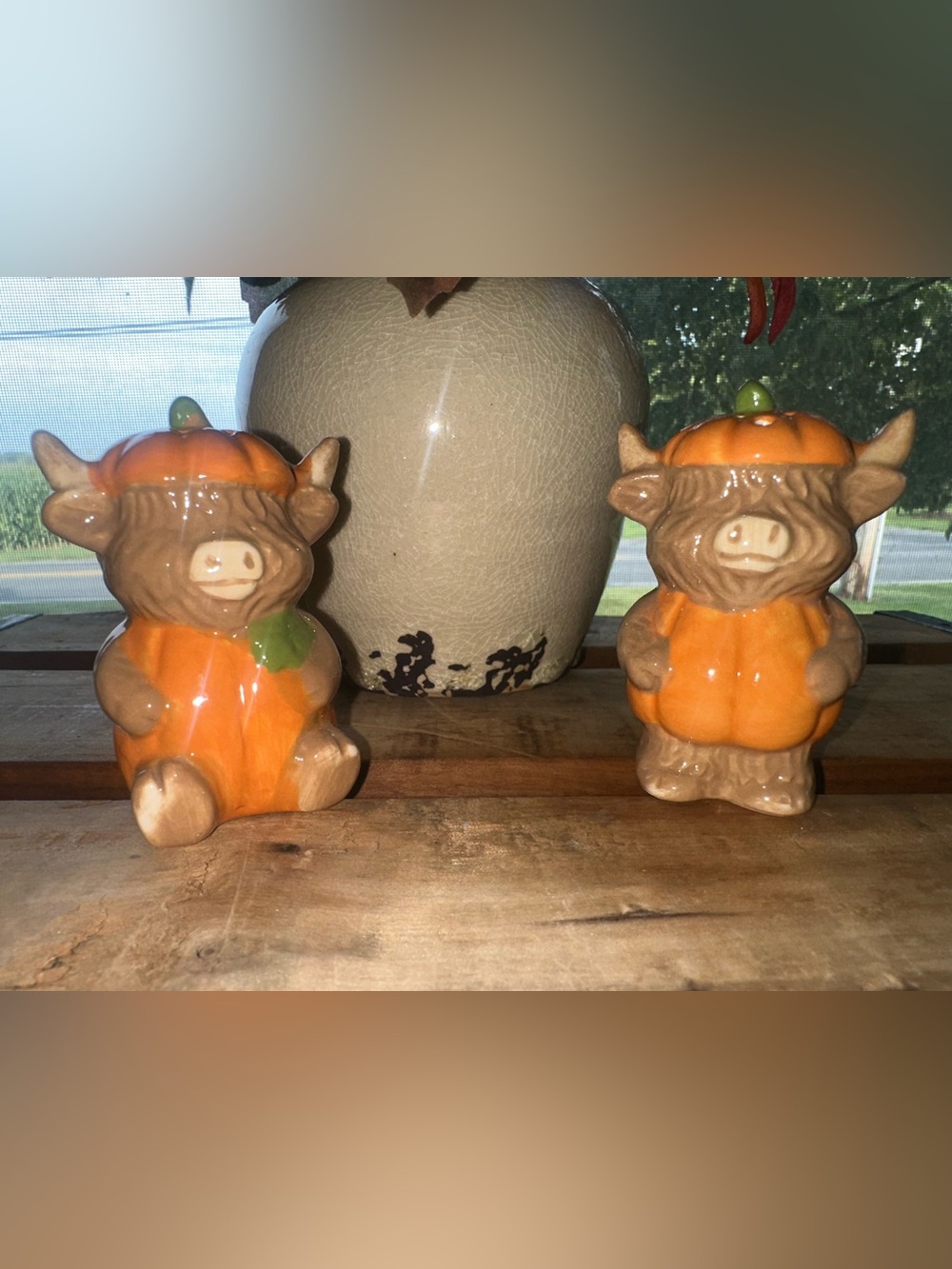 Highland Cow Pumpkin Salt & Pepper Shakers-New